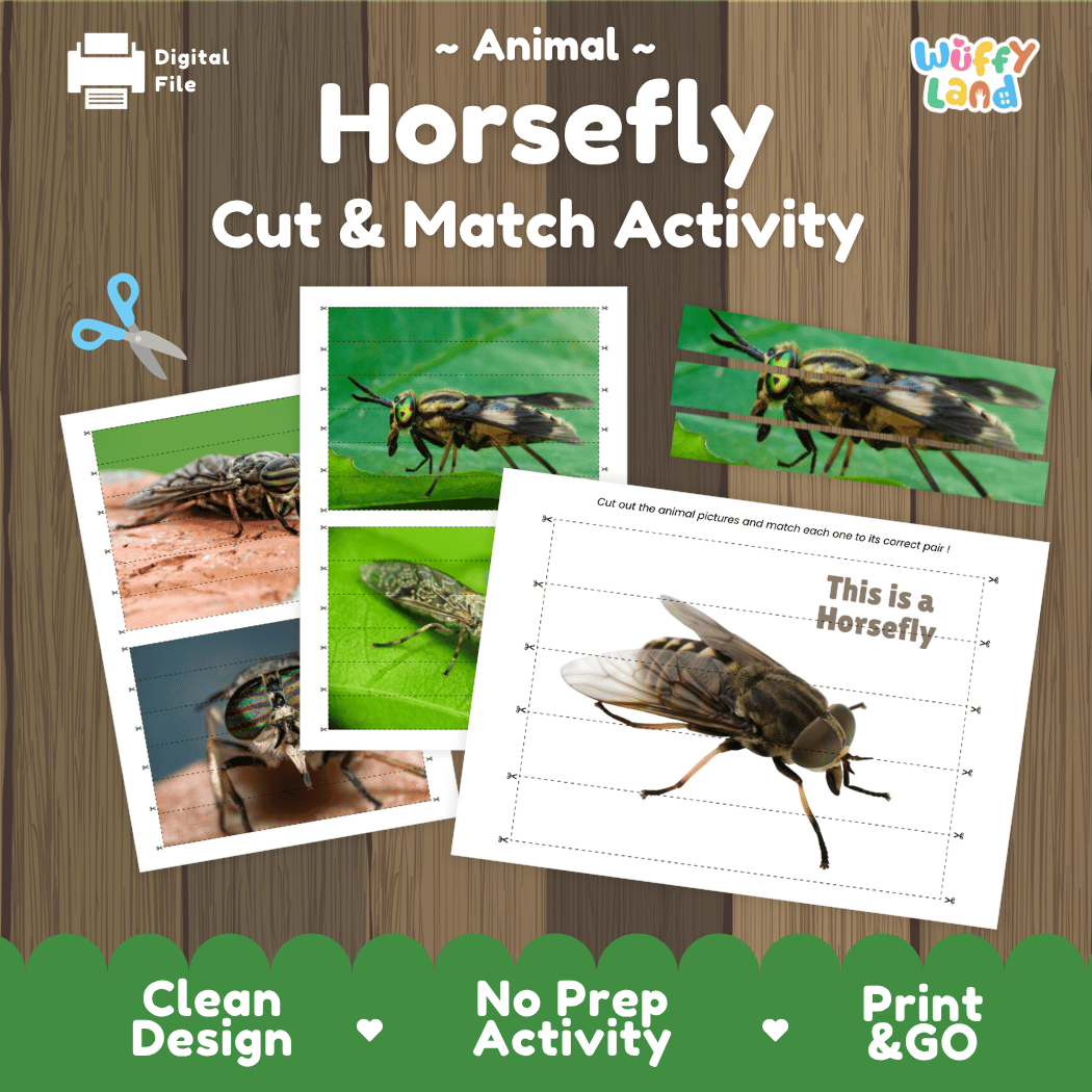 Horsefly Cut and Match Activity Printables Worksheets