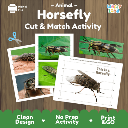 Horsefly Cut and Match Activity Printables Worksheets