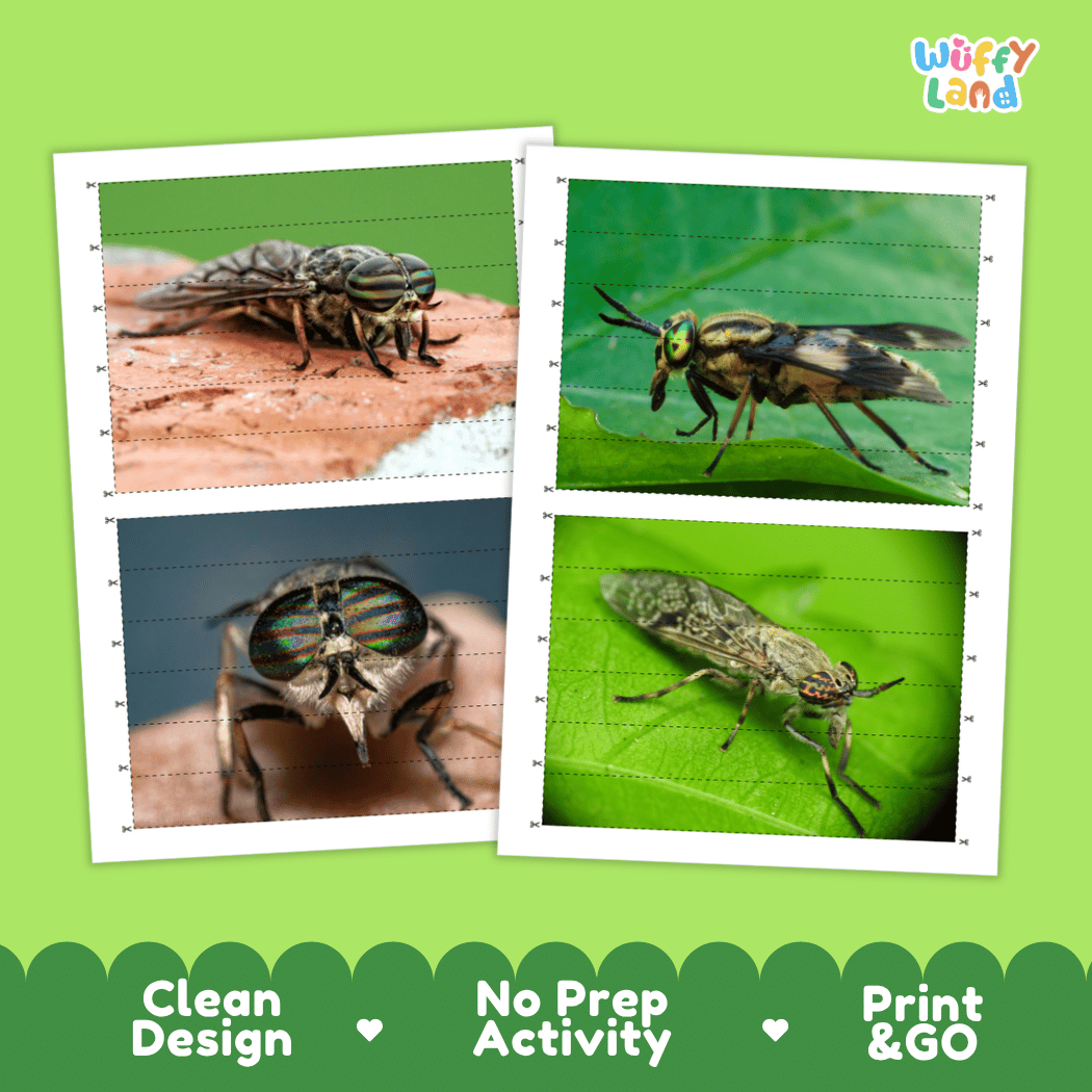 Horsefly Cut and Match Activity Printables Worksheets