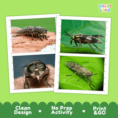 Horsefly Cut and Match Activity Printables Worksheets