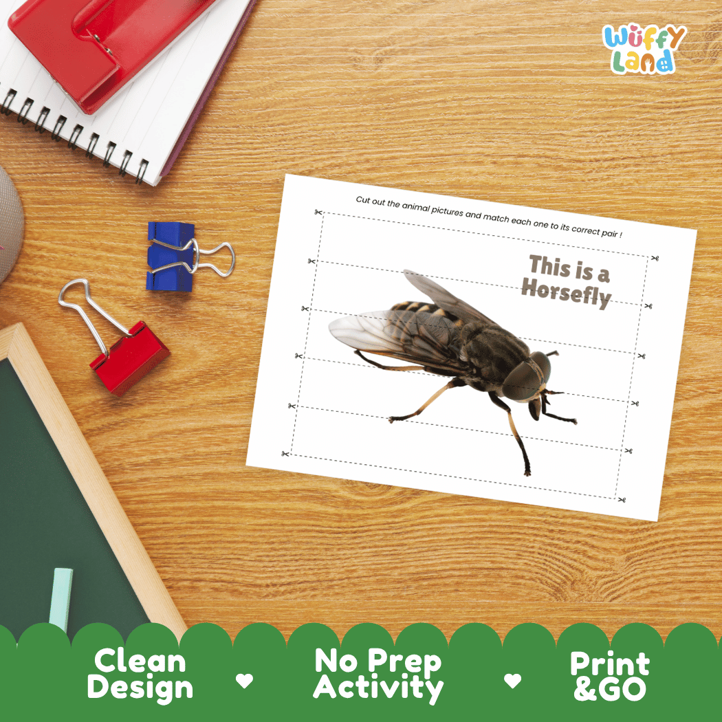 Horsefly Cut and Match Activity Printables Worksheets