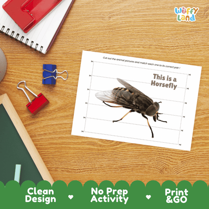 Horsefly Cut and Match Activity Printables Worksheets