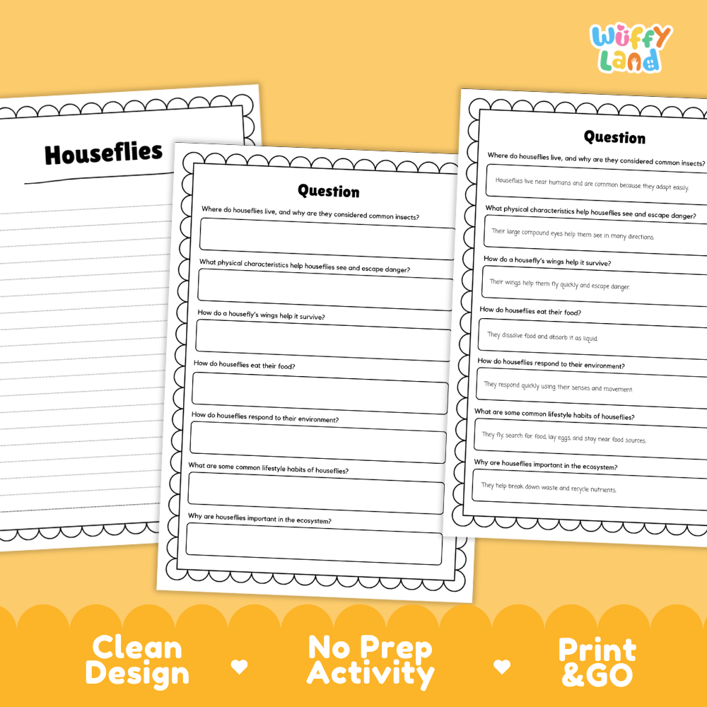 Three printed worksheet pages about houseflies arranged on a yellow background, with the title 'Houseflies' on the left sheet and question prompts on the center and right sheets. The top right shows the 'Wiffly Land' logo, and the bottom has a yellow banner reading 'Clean Design', 'No Prep Activity', and 'Print & GO'.