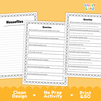 Three printed worksheet pages about houseflies arranged on a yellow background, with the title 'Houseflies' on the left sheet and question prompts on the center and right sheets. The top right shows the 'Wiffly Land' logo, and the bottom has a yellow banner reading 'Clean Design', 'No Prep Activity', and 'Print & GO'.