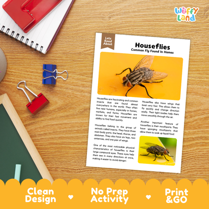 An educational activity sheet about houseflies laid flat on a wooden desk, surrounded by school supplies like a spiral notebook, red binder clips, and a blue pen. The sheet has text, two inset photos of houseflies, and a yellow banner at the bottom reading 'Let's Read Again' and 'Houseflies Common Fly Found in Homes.