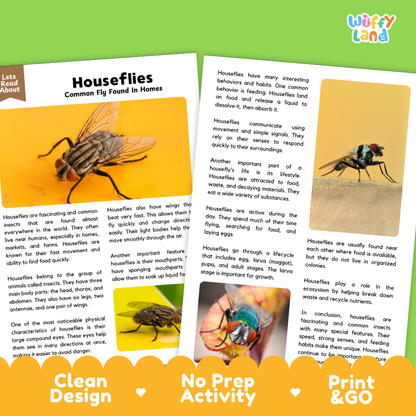 A children's educational poster about houseflies from Wuffly Land, featuring a colorful layout with text panels, a small insect illustration, and three circular callout graphics highlighting key facts. The design includes the phrases 'Clean Design,' 'No Prep Activity,' and 'Print & Go.