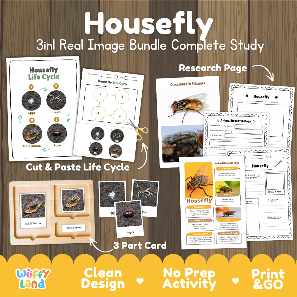 Housefly 3-in-1 real image bundle complete study cover showing cut and paste life cycle, 3 part cards, and research pages