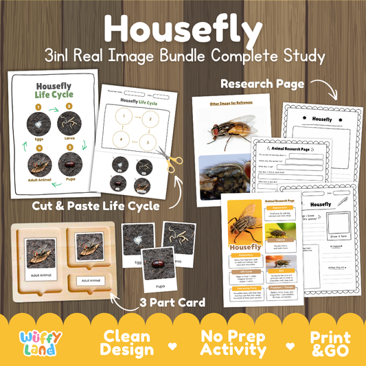 Housefly 3-in-1 real image bundle complete study cover showing cut and paste life cycle, 3 part cards, and research pages
