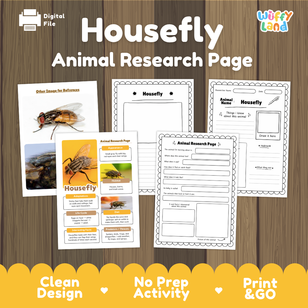 Housefly Animal Research Page Worksheets