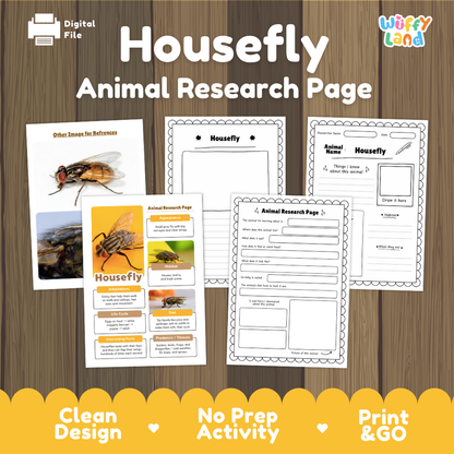 Housefly Animal Research Page Worksheets