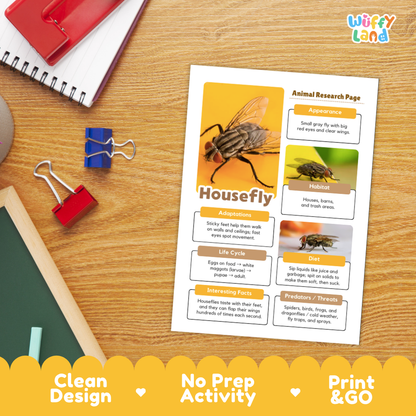 Housefly Animal Research Page Worksheets