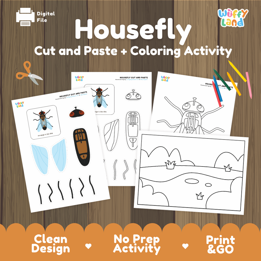 Housefly Cut and Paste Craft and Coloring Activity Worksheets