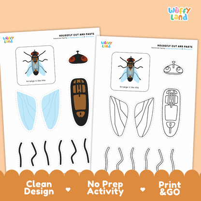 Housefly Cut and Paste Craft and Coloring Activity Worksheets