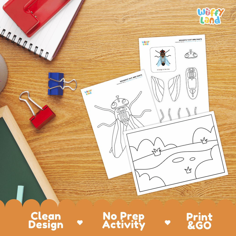 Housefly Cut and Paste Craft and Coloring Activity Worksheets