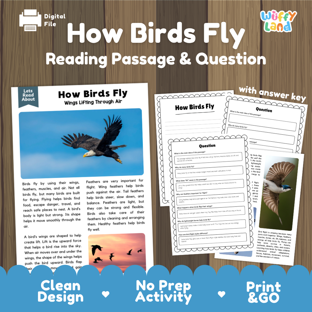 How Birds Fly reading comprehension passage and questions activity pack with full answer key for students