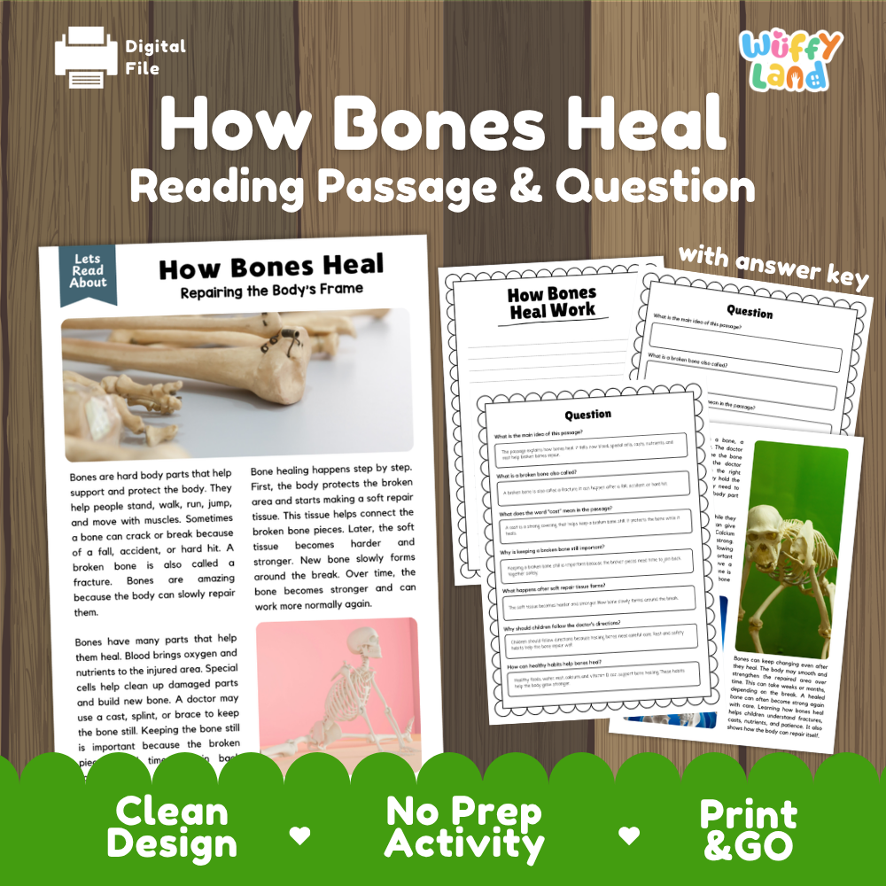 How bones heal reading comprehension passage and questions printable activity pack with answer key for elementary students
