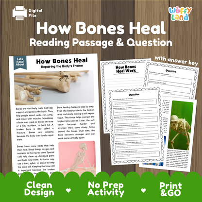 How bones heal reading comprehension passage and questions printable activity pack with answer key for elementary students