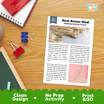 Student reading comprehension worksheet with short-answer questions and lined sections about how bones heal