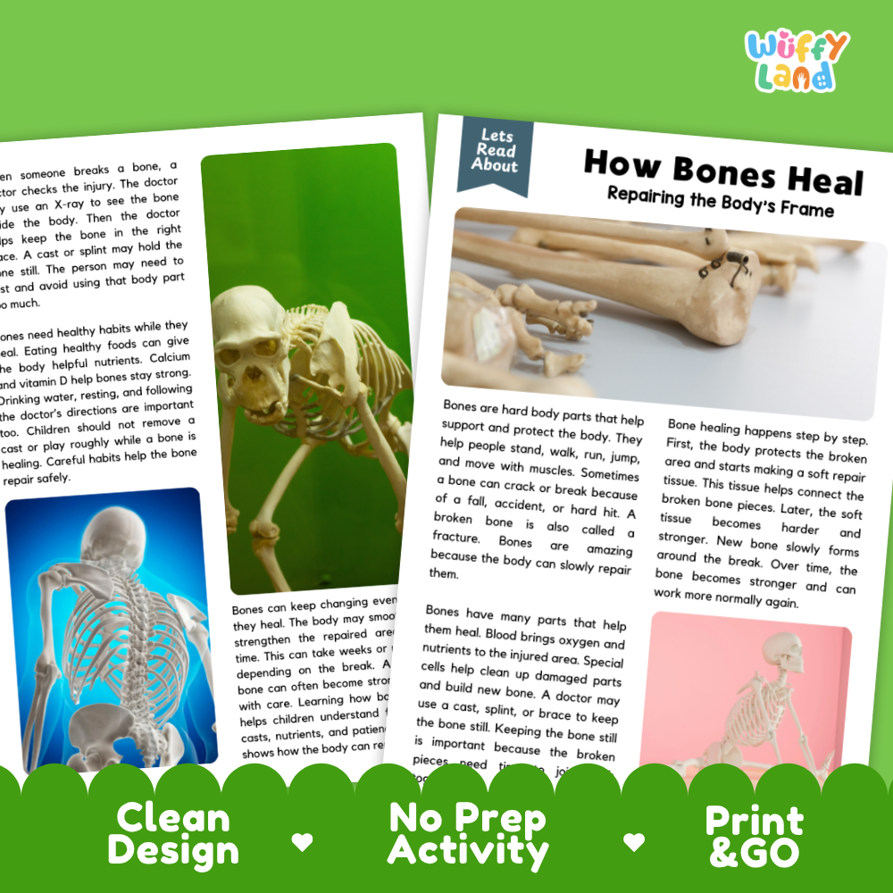 Teacher answer key page showing complete question solutions for how bones heal reading comprehension practice