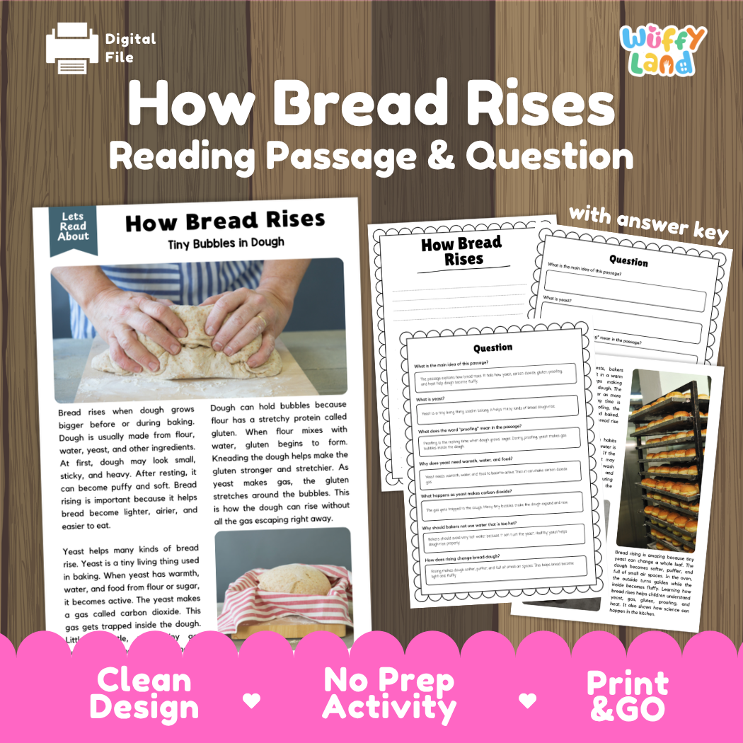 How Bread Rises reading comprehension passage and questions printable activity pack with answer key for elementary students