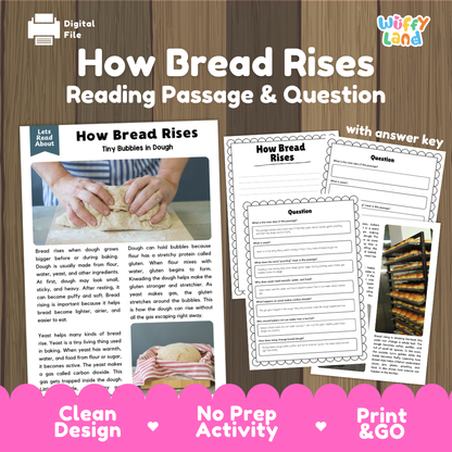 How Bread Rises reading comprehension passage and questions printable activity pack with answer key for elementary students