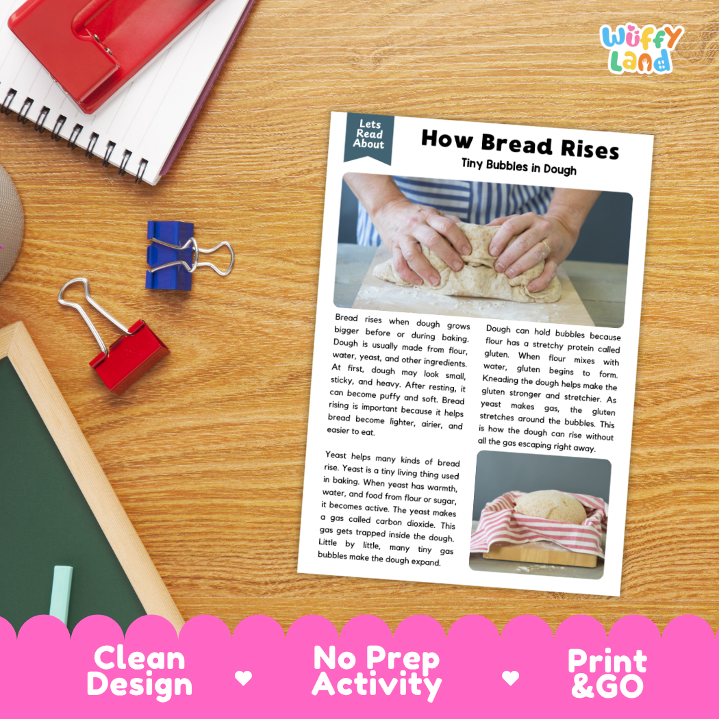 Student reading comprehension worksheet with short-answer questions and lined sections about how bread dough rises