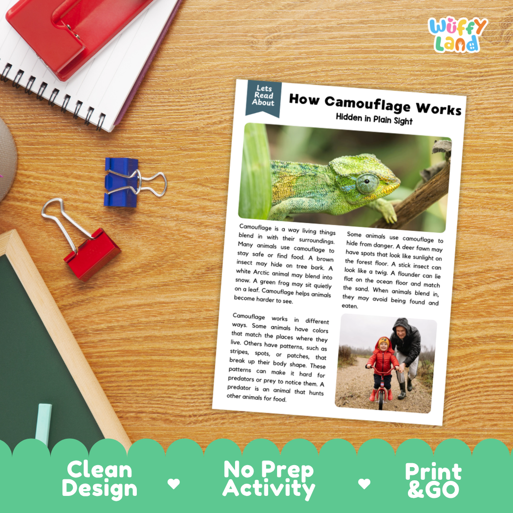 Student reading comprehension worksheet with short-answer questions and lined sections about how camouflage works