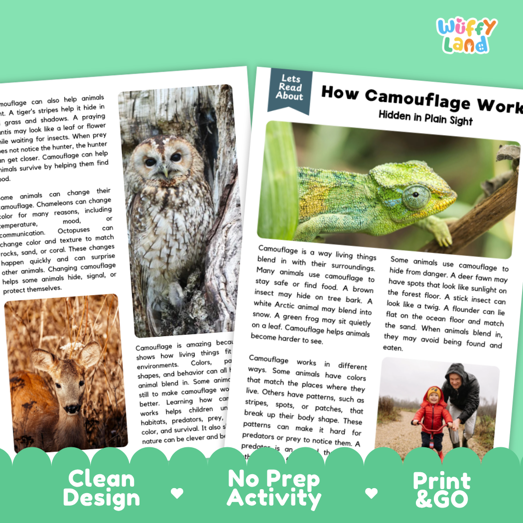 Teacher answer key page showing complete question solutions for How Camouflage Works life science reading comprehension practice
