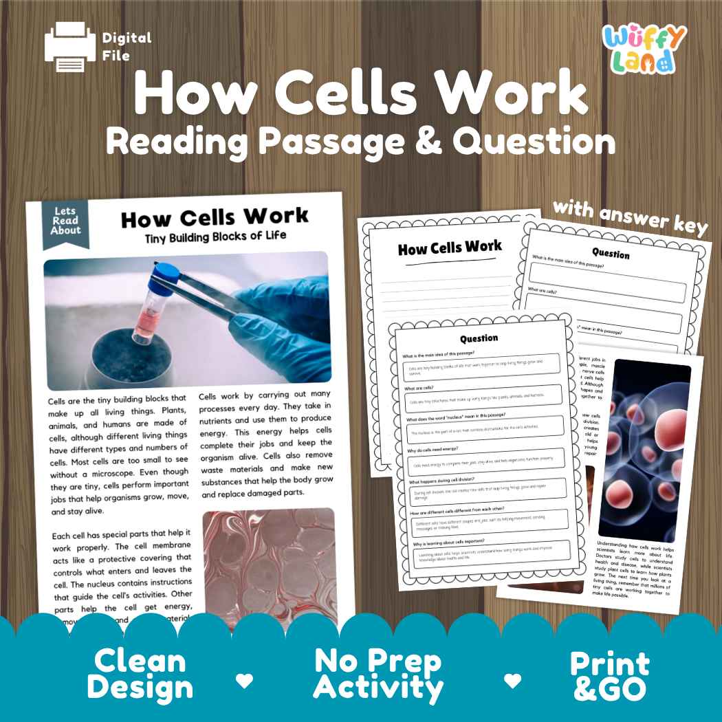 How Cells Work reading comprehension passage and questions activity pack with full answer key for students