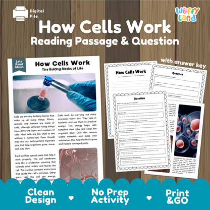 How Cells Work reading comprehension passage and questions activity pack with full answer key for students