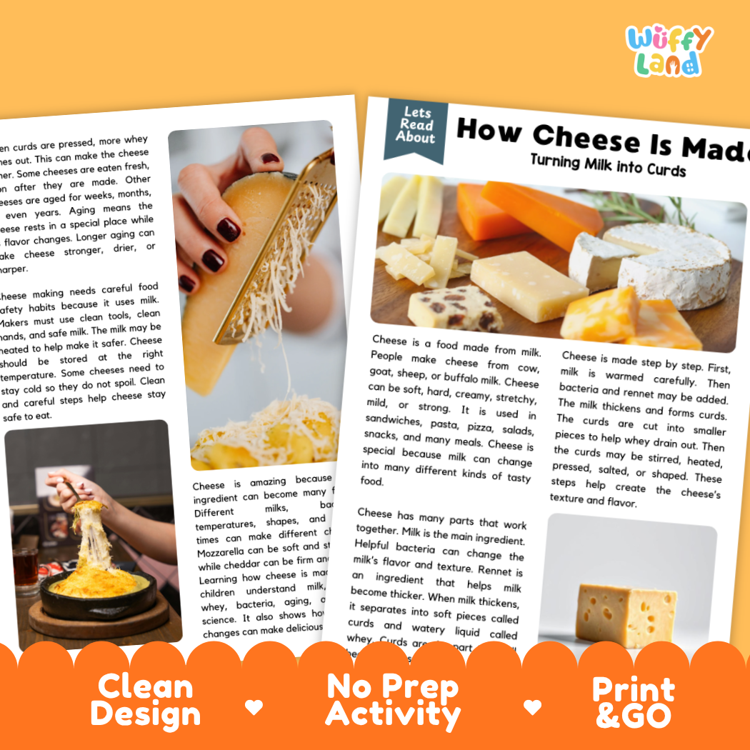 Teacher answer key page showing complete question solutions for cheese making food science reading comprehension practice
