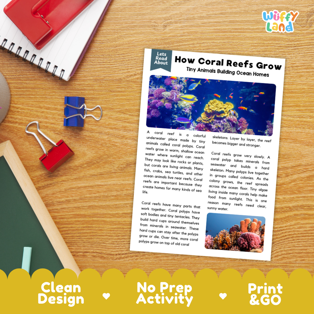 Student reading comprehension worksheet with short-answer questions and lined sections about how coral reefs grow