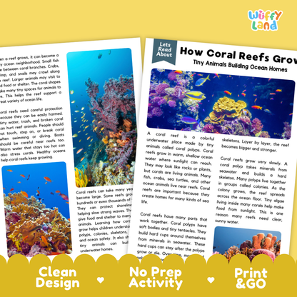 Teacher answer key page showing complete question solutions for how coral reefs grow reading comprehension practice