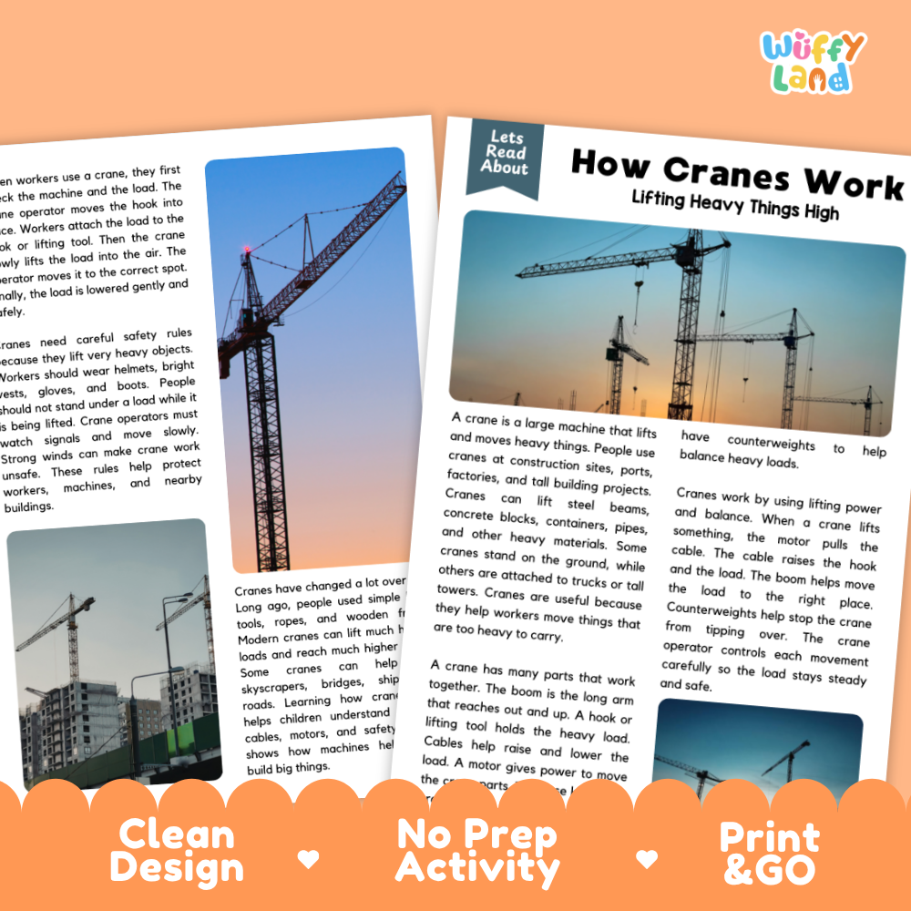 Teacher answer key page showing complete question solutions for how cranes work reading comprehension practice