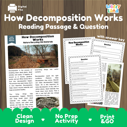 How Decomposition Works reading comprehension passage and questions activity pack with full answer key for students
