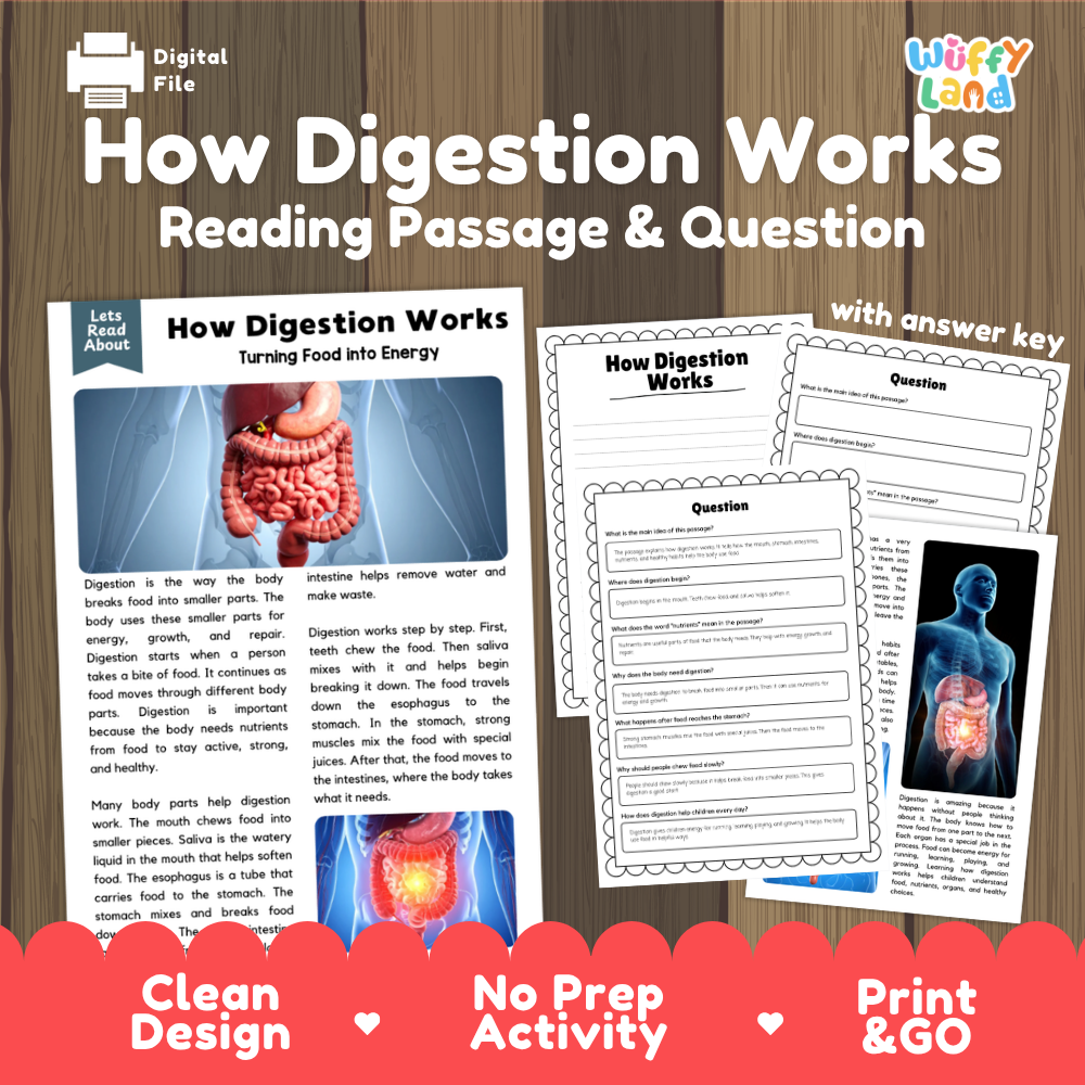 How digestion works reading comprehension passage and questions printable activity pack with answer key for elementary students