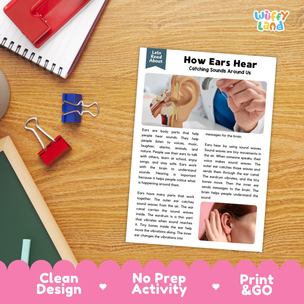 Student reading comprehension worksheet with short-answer questions and lined sections about how ears hear