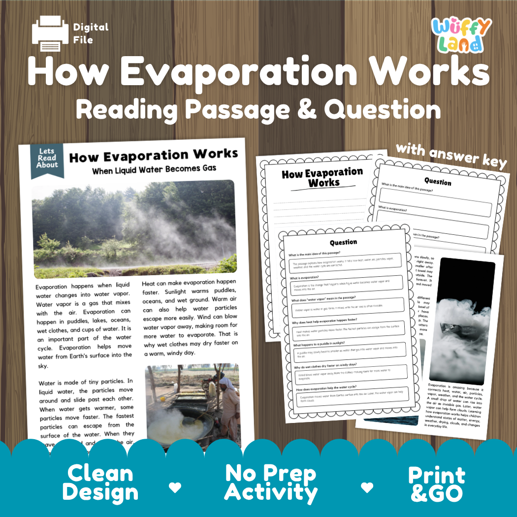 How Evaporation Works reading comprehension passage and questions activity pack with full answer key for students