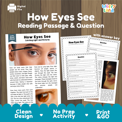 How eyes see reading comprehension passage and questions printable activity pack with answer key for elementary students