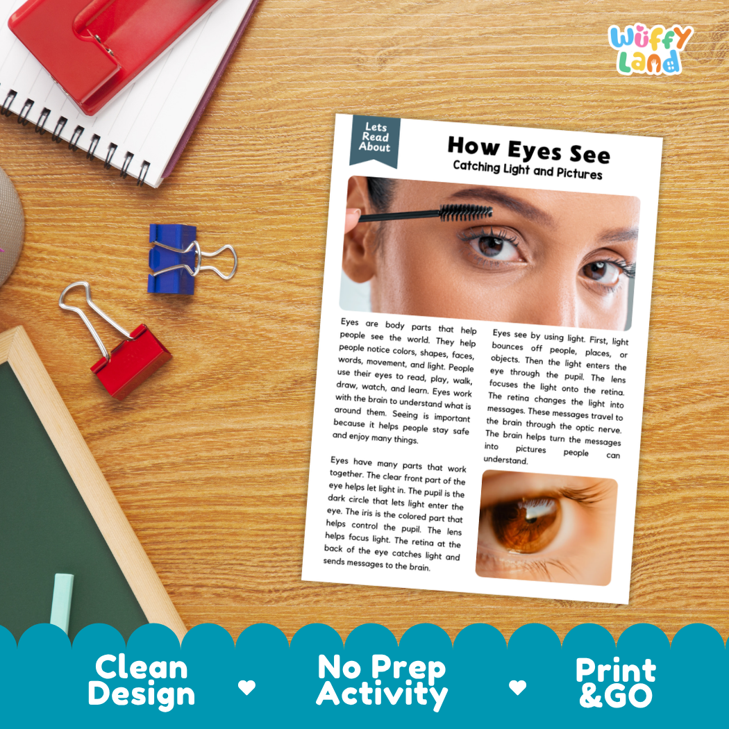 Student reading comprehension worksheet with short-answer questions and lined sections about the human eye