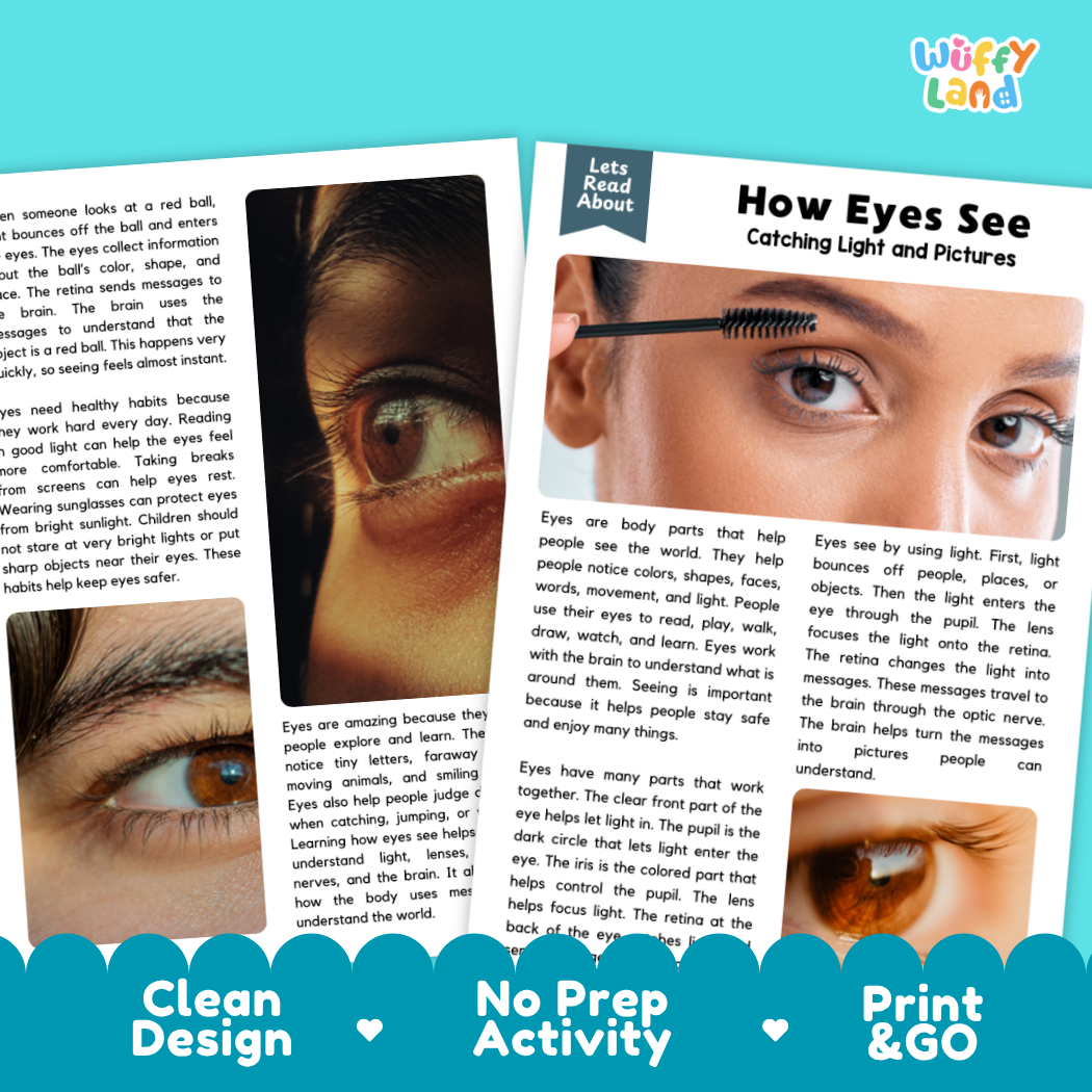 Teacher answer key page showing complete question solutions for how eyes see reading comprehension practice
