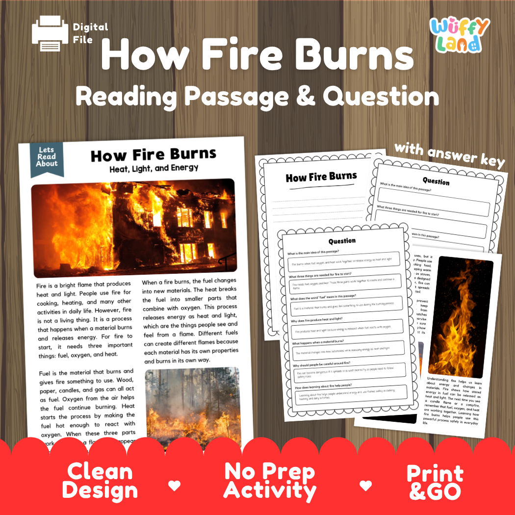 How Fire Burns reading comprehension passage and questions activity pack with full answer key for students
