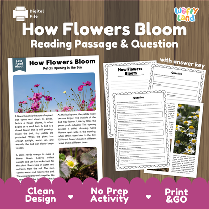 How Flowers Bloom reading comprehension passage and questions activity pack with full answer key for students