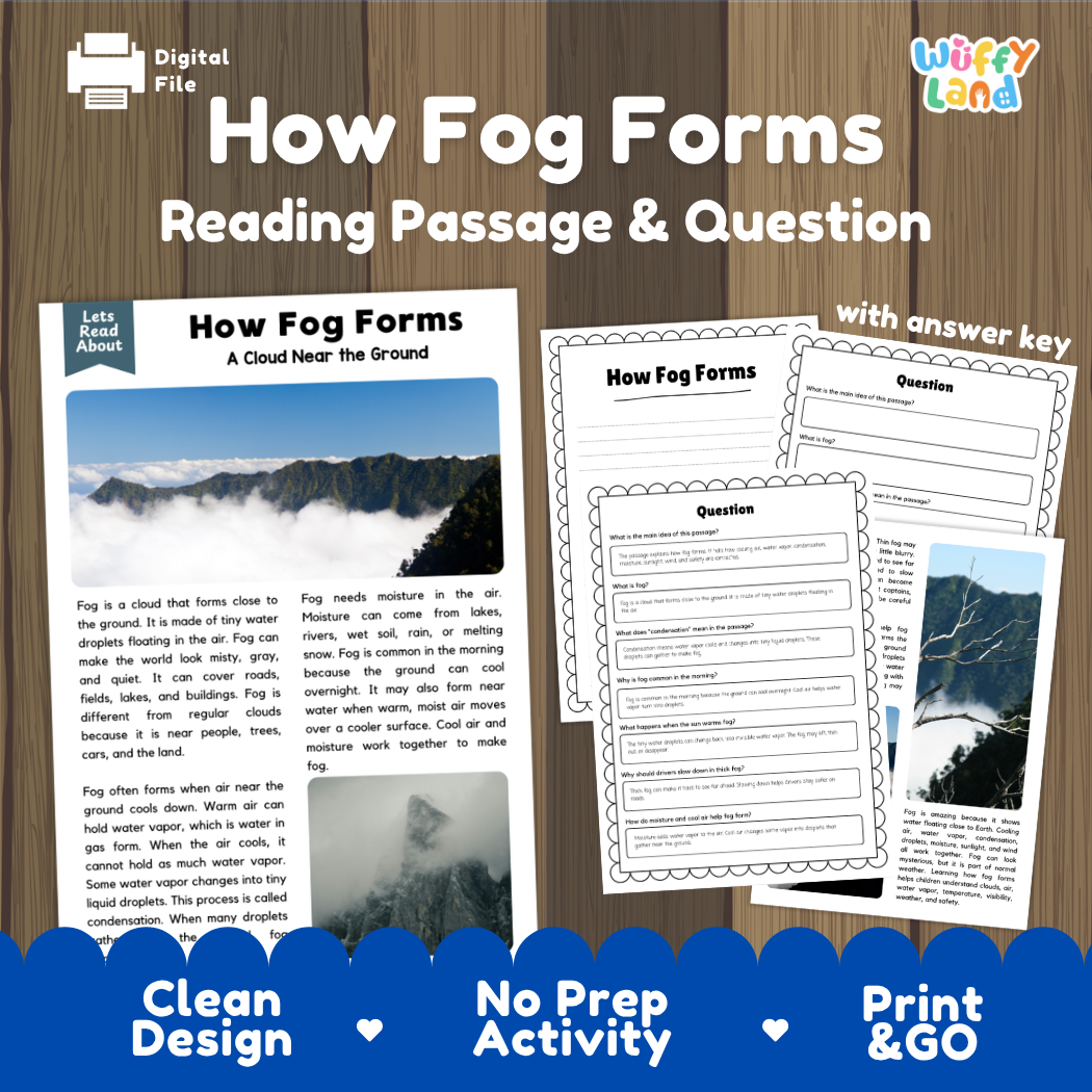 How Fog Forms reading comprehension passage and questions activity pack with full answer key for students