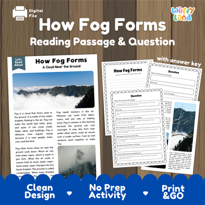 How Fog Forms reading comprehension passage and questions activity pack with full answer key for students