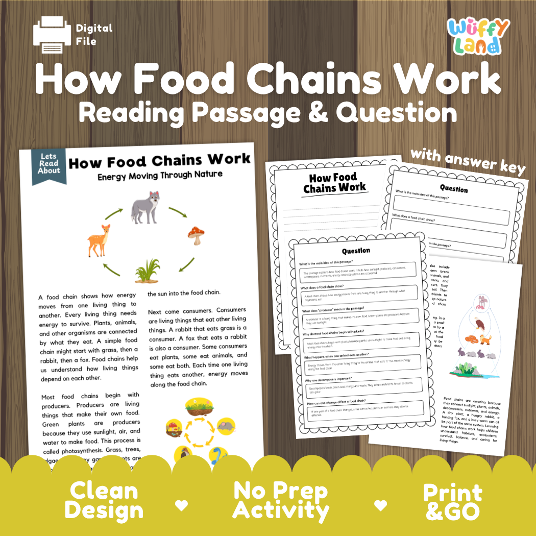 How Food Chains Work reading comprehension passage and questions activity pack with full answer key for students