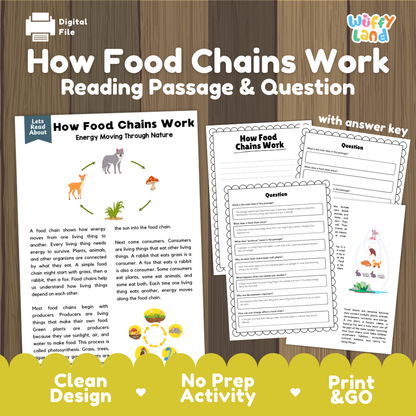 How Food Chains Work reading comprehension passage and questions activity pack with full answer key for students