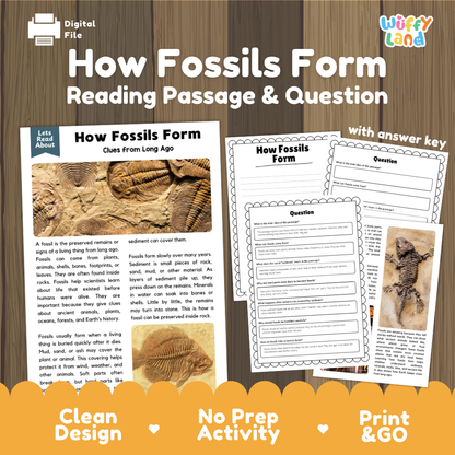How fossils form reading comprehension passage and questions printable activity pack with answer key for elementary students