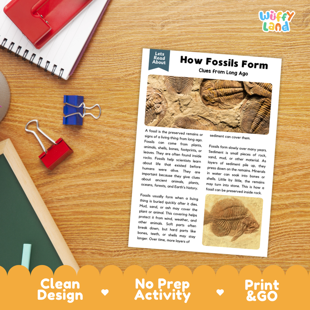 Student reading comprehension worksheet with short-answer questions and lined sections about how fossils form