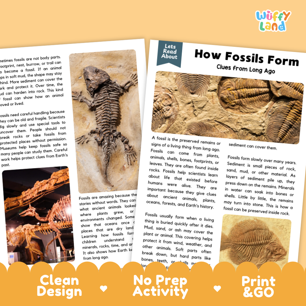 Teacher answer key page showing complete question solutions for how fossils form reading comprehension practice
